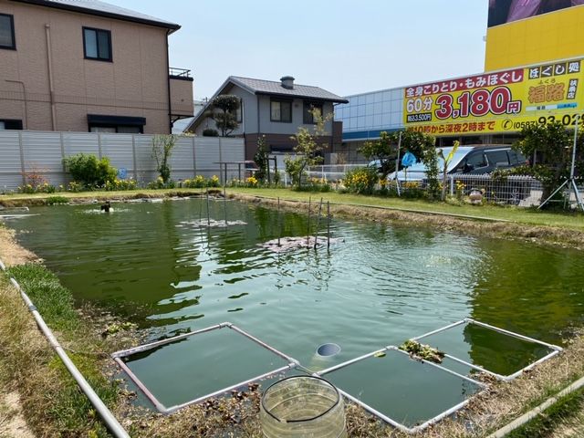 愛知県丹羽郡扶桑町の釣り堀 いとう釣具 の情報 口コミ