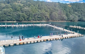 和歌山県有田郡広川町の海上釣り堀 釣堀紀州 の情報