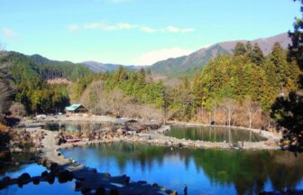 サクラマスに関する記事一覧 ページ 3 釣り堀ステーション