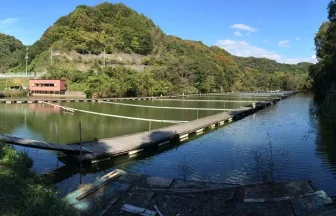 和歌山県有田郡広川町の海上釣り堀 釣堀紀州 の情報