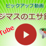 ニジマスやヤマメなどのエサ釣りに関するYouTube動画をピックアップ！