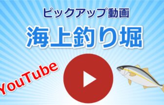 海上釣り堀に関するyoutube動画