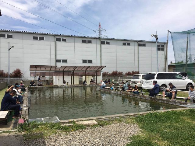 千葉市稲毛区の屋外釣り堀 千葉北釣り堀センター の情報