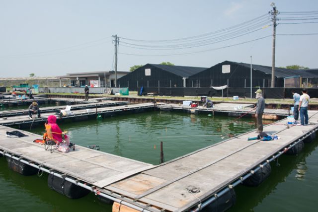 三重県松阪市の海上釣り堀 松名瀬フィッシングパーク の情報
