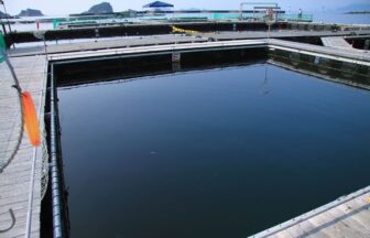 三重県北牟婁郡紀北町 海上釣り堀 正徳丸 の情報