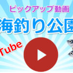 海釣り公園の動画をピックアップ！使用している道具も紹介