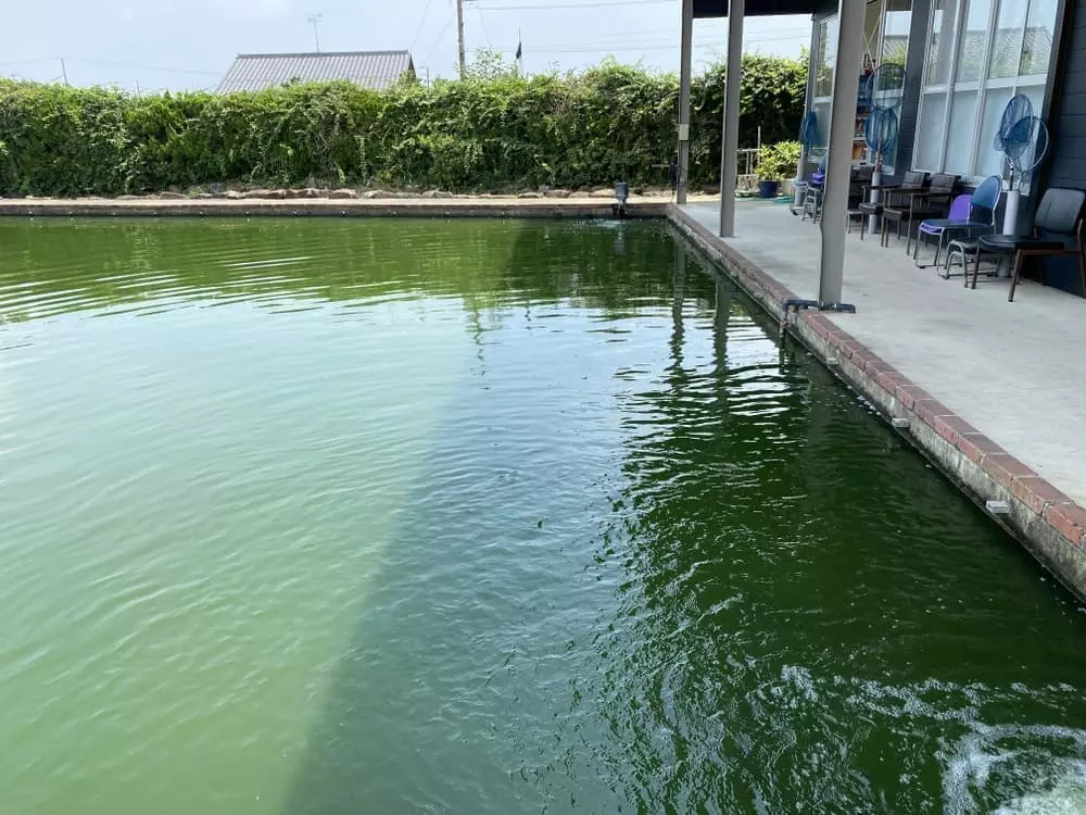 岐阜県各務原市の釣り堀 つりぼり喜水園 の情報