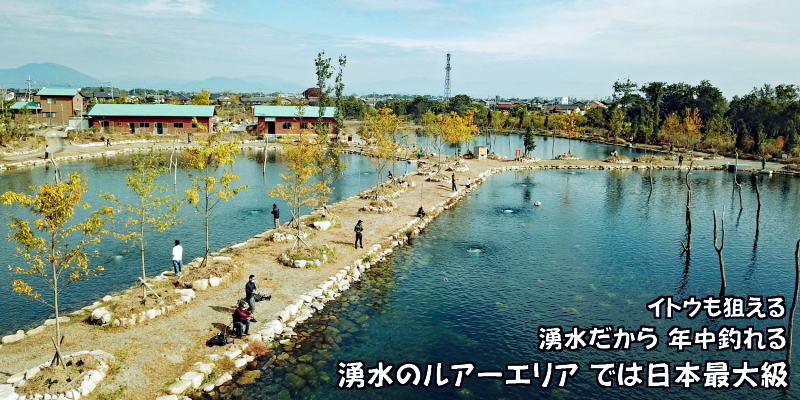 滋賀県高島市新旭町のトラウト管理釣り場 フィッシングパーク 高島の泉 の情報