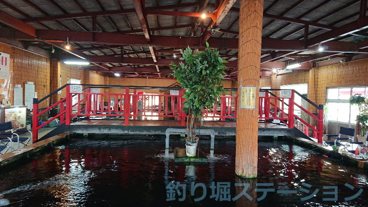 室内釣り堀