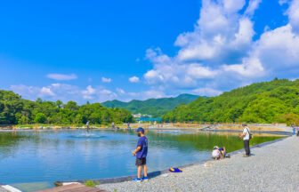 ニジマス レインボートラウト に関する記事一覧 釣り堀ステーション