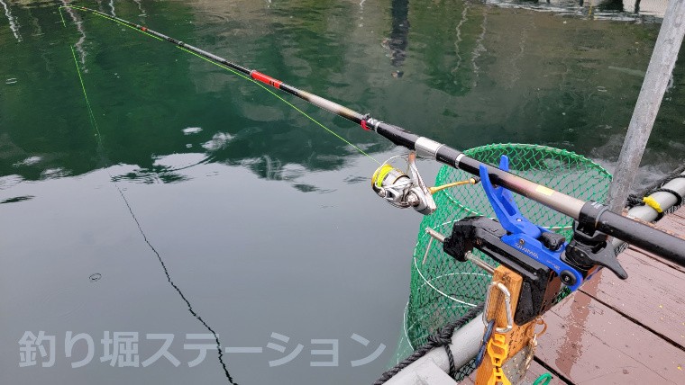 釣行記 福井県 海上釣堀フィッシングレインボー で時期限定の魚を釣る
