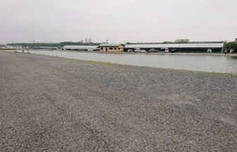 サクラマスに関する記事一覧 釣り堀ステーション