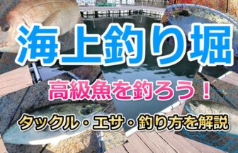 釣り堀ステーション