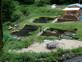 釣りと料理 小横川ます池