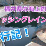 【釣行記】福井県「海上釣堀フィッシングレインボー」で時期限定の魚を釣る！