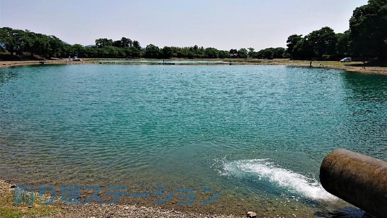 釣行記 栃木の人気管理釣り場 加賀フィッシングエリア に行ってきた