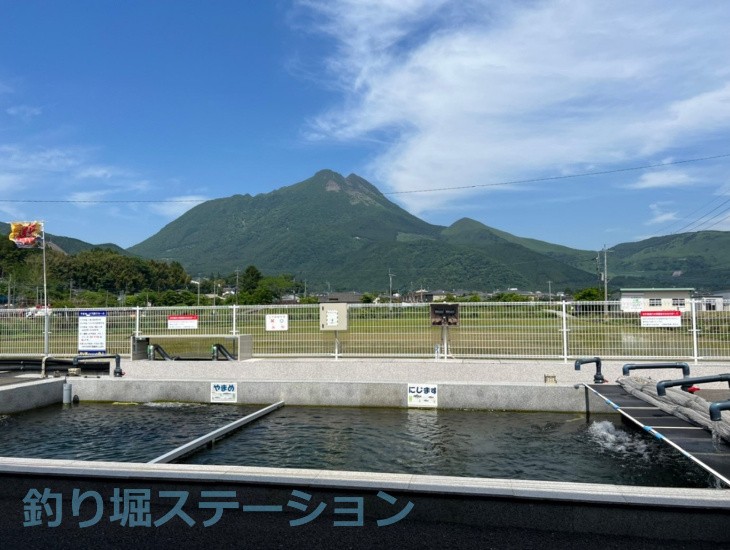 釣り堀 管理釣り場を探すときのチェックポイントを解説