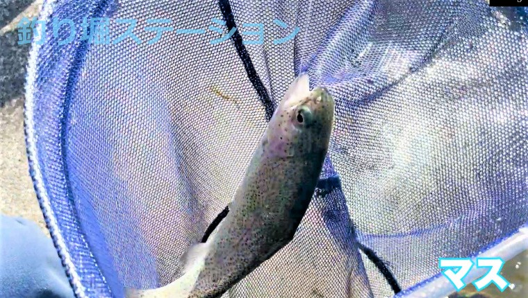 千葉県夷隅郡大多喜町 養老渓谷釣堀センター の情報 オリジナル画像あり 千葉県夷隅郡大多喜町 養老渓谷釣堀センター の情報 オリジナル画像あり