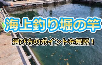 釣行記 千葉県 九十九里海釣りセンター でマダイ シマアジ釣り