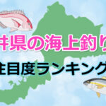 福井県の海上釣り堀 「注目度ランキング」TOP3